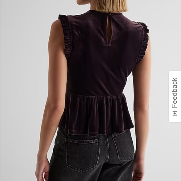 Express Velvet Embroidered Top - Picture 2 of 3